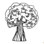 Nice and Easy Apple Trees Coloring Pictures Collection