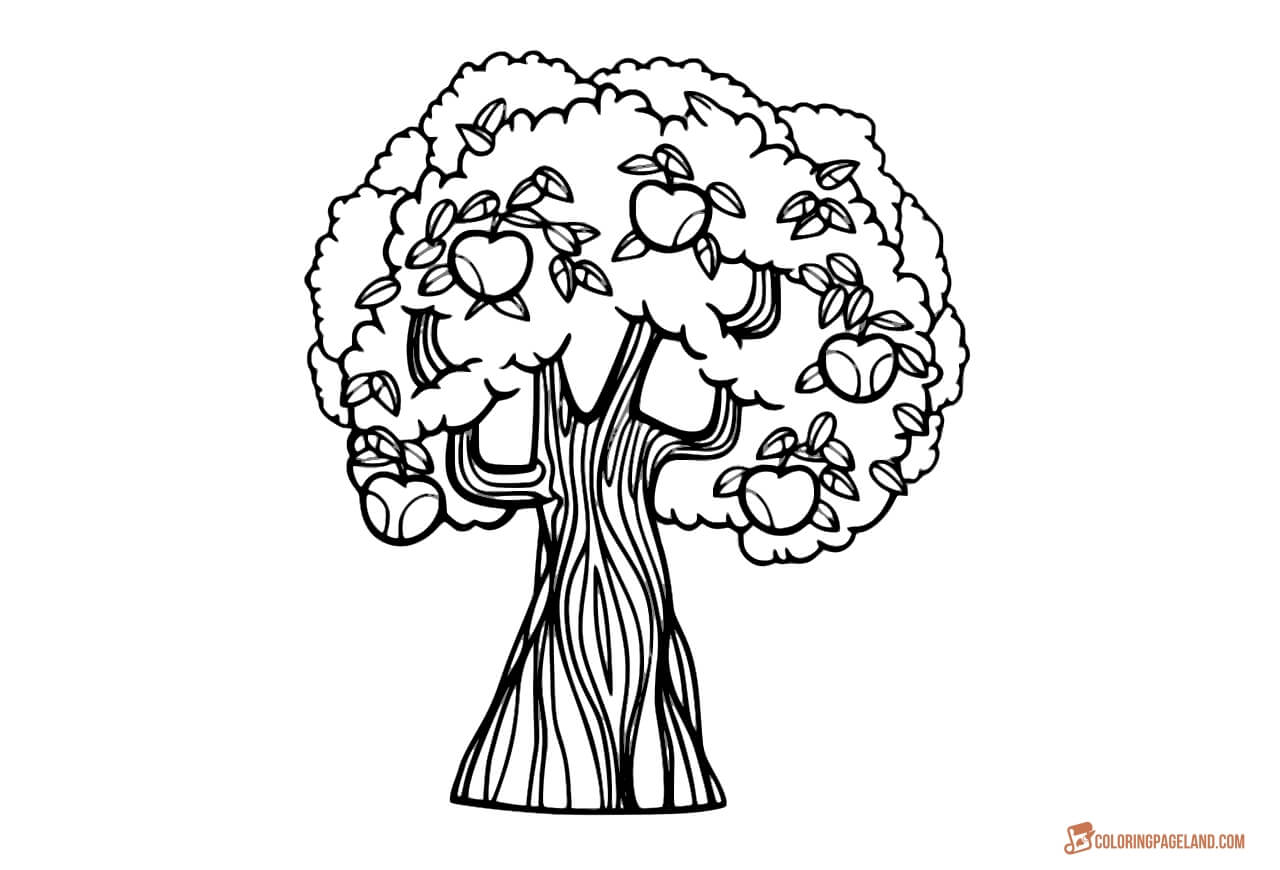 Nice and Easy Apple Trees Coloring Pictures Collection