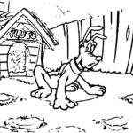 Pluto the Dog Coloring Pictures Collection