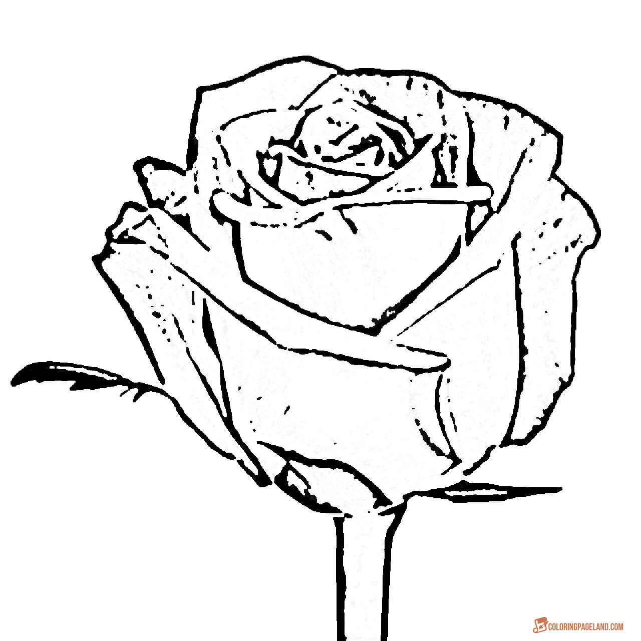 Rose Coloring Sheets