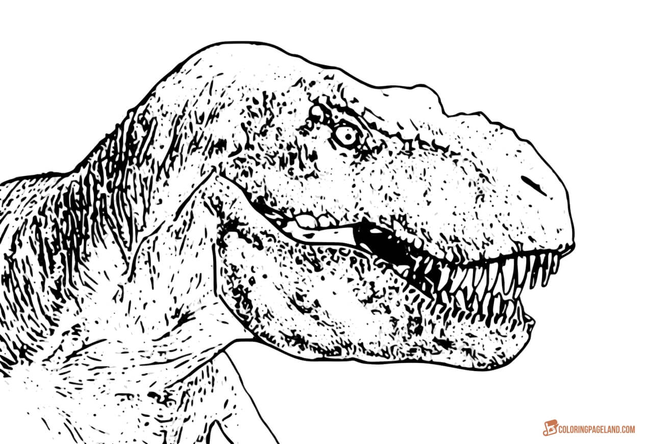 New Coloring Sheets of Tyrannosaurus Rex