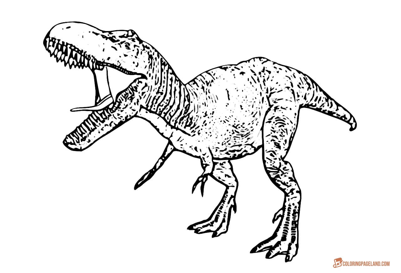 Full-body template